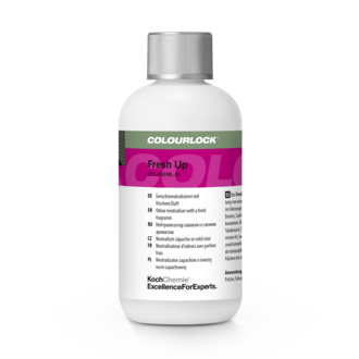 Fresh Up 250ml Geruchsentferner für Auto, Leder & Textilien
