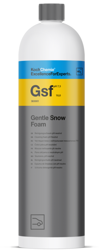 Gentle Snow Foam